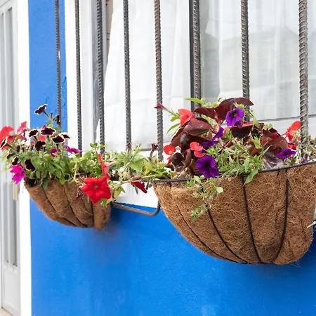 Сasa de vacaciones Casa Lires Recarey *